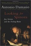 Antonio R. Damasio - Looking for Spinoza Joy, Sorrow, and the Feeling Brain