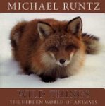 Michael W. P. Runtz - Wild Things