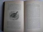 Alfred Newton - Dictionary of Birds Alfred Newton - Dictionary of Birds