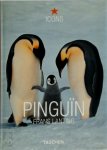 Frans Lanting 13695, Christine Eckstrom 30843 - Pinguïn