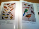 Ali, Sálim & S Dillon Ripley - Handbook of the Birds of India and Pakistan, Compact Edition