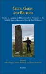 Erich Poppe, Simon Rodway, Jenny Rowland (eds) - Celts, Gaels, and Britons. Studies in Language and Literature from Antiquity to the Middle Ages in Honour of Patrick Sims-Williams