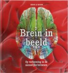 Denis Le Bihan 234360 - Brein in beeld op verkenning in de menselijke hersenen