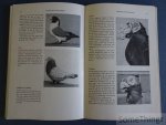 R.R.P. van der Mark. - Sierduiven in de lage landen, met beschrijvingen van 130 rassen en 136 foto's.
