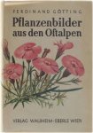Ferdinand Götting - Pflanzenbilder aus den Ostalpen
