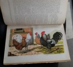 Nuyens, A. - De Vogelwereld    Handboek voor liefhebbers van kamer- en parkvogels