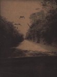 Teunissen, Bert - On the Road — Everglades