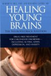 Eduardo Castro Hill - Healing Young Brains: The Neurofeedback Solution