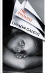 Damon Galgut 44996 - The Promise