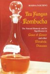 Fasching, Rosina - Tea Fungus Kombucha The Natural Remedy and its Significance in Cases of Cancer and Other Metabolic Diseases. Englische Ausgabe