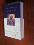 Swindoll, Charles R. - David / Een man met David van passie & bestemming