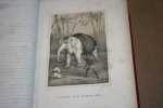 O. Fournier  --  Illustraties Victor Adam - Les Animaux Historiques