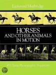 Eadweard Muybridge - Horses and Other Animals in Motion