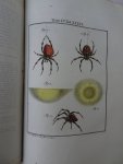 Rösel von Rosenhof, August Johan and C.FC. Kleemann. - De natuurlyke historie der insecten. Voorzien met naar `t Leven getekende en gekoleurde Plaaten. Volgens eigen ondervindling beschreeven, door de Heer August Johann Rösel, van Rosenhof, Miniatuur-Schilder. Met zeer nutte en fraaie Aanmerkingen...