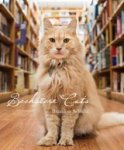SCHULTZ,  Brandon - Bookstore cats