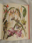 Barbara Everard - Brian D Morley; B. Everard - WILD FLOWERS of the World