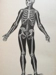Pileur, A. Le - Wonders of the Human Body /  illustrated by forty-five engravings by Leveille