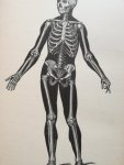 Pileur, A. Le - Wonders of the Human Body /  illustrated by forty-five engravings by Leveille