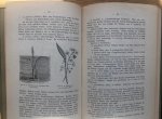 Mönkemeyer, Wilhelm - Die Sumpf- und Wasserpflanzen Ihre Beschreibung, Kultur und Verwendung