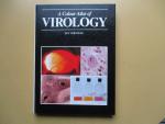Versteeg, Dr. Jan - A Colour Atlas of Virology