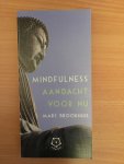 Brookhuis, Marc - Mindfulness - Ankertje 332 / aandacht voor nu