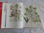 Besler, Basilius - The Book of Plants. The Complete Plates.