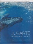 Candisani, Luciano - Jubarte. Humpback Whale: O Projecto Monitoramento de Baleias Por Satélite | The Satellite Whale Monitoring Project