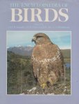Perrins, Christopher - The encyclopaedia of birds
