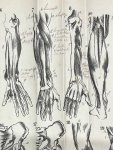 Lubach, D. - Education, 1873, Gymnastics | Ontleedkundig en physiologisch handboek voor aankomende onderwijzers in de gymnastiek, (...) met platen. Tweede verbeterde en vermeerderde druk. Amsterdam, C.L. Brinkman, 1873, 206 pp. With 6 foldable plates.