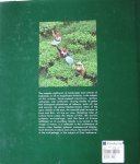 Vatikiotis, Michael - Over Indonesia. Aerial views of the Archipelago