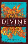 Zondervan - The Divine Commodity Discovering a Faith Beyond Consumer Christianity