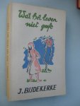 Bijdekerke, J. - Wat  het leven niet geeft.