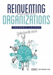 Frederic Laloux - Reinventing Organizations - Geïllustreerde versie