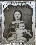 Jim Slade, John Alexander - Firestorm at Gettysburg. Civilian voices June-November 1863