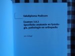 Schogt, A. - Pedicure Anatomie en Fysiologie, Pathologie en Orthopedie / examen 3.8.2