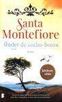 Montefiore, Santa - Onder de ombu-boom