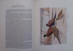 Roberts, Thomas Sadler (text) - Bird Portraits in Color: Two Hundred Ninety-Five North American Species