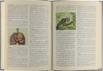  - Ik weet het (encyclopedie A-Z)