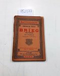 Woerl, Leo: - Illustrierter Führer durch Brieg ( Bez. Breslau) und Umgebung