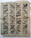 ANONYMOUS, - Catchpenny print with 24 different species of bird