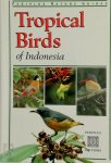 Morten Strange 127324 - Tropical Birds of Indonesia