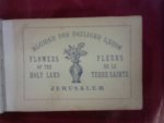  - Jerusalem. Blumen des Heiligen Lande, Flowers of the Holy Land, Fleurs de la Terre Sainte