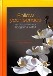 Felix Brabander - Follow your senses Felix Brabander - Follow your senses