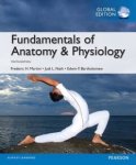 Martini Frederic - Fundamentals of Anatomy & Physiology, Global Edition