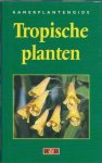 Renske de Boer - Tropische planten