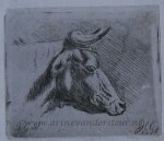 Jacob Cornelis Gaal (1796-1866) after Pieter Gaal (1769-1819) - [Antique print, etching] Head of a cow, published ca. 1850, 1 p.