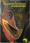  - kameleons  Een fascinerende hobby