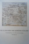 Mietzner, Erhard Heinrich - [Proefschrift] Die Flurnamen der Gemeinde Südlohn  Gesamtüberlieferung (1147-1989) und Namenerklärung