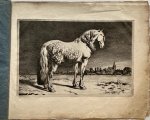 Ignace-Joseph de Claussin (1766-1844) [?] after Paulus Potter (1625-1654) - Antique prints, original album, etching | The five horses, I.J. De Claussin, published ca. 1800, 5 pp.