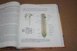 Chrispeels & Sadava - Plants, Genes and Crop Biotechnology